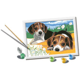 Ravensburger - Creart Beagle Puppies - Schilderen op Nummer - Kunst & Ambachten